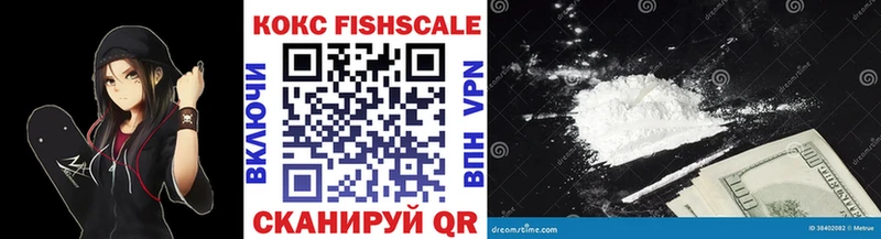 Купить где  Будённовск  COCAIN Fish Scale 