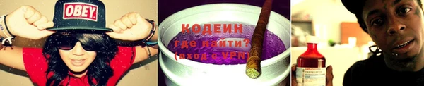 крисы Калининец