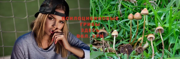 не бодяженный Бородино