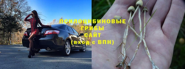 хмурый Бронницы